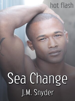 cover image of Sea Change